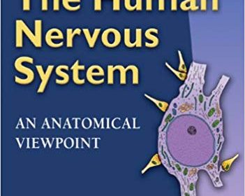 Barr S The Human Nervous System An Anatomical Viewpoint
